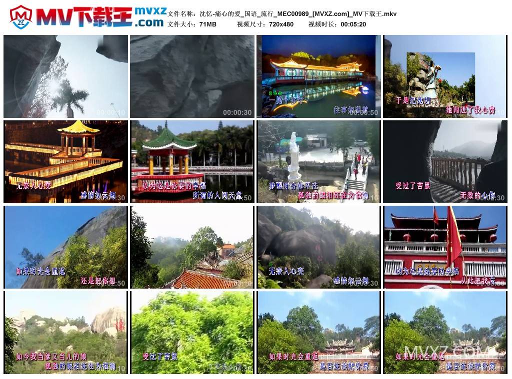 沈忆-痛心的爱_国语_流行_MEC00989